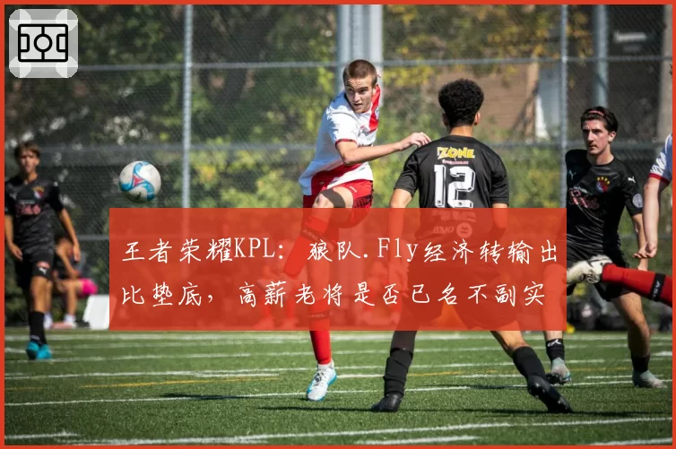 王者荣耀KPL：狼队.Fly经济转输出比垫底，高薪老将是否已名不副实？
