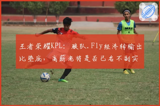 王者荣耀KPL：狼队.Fly经济转输出比垫底，高薪老将是否已名不副实？