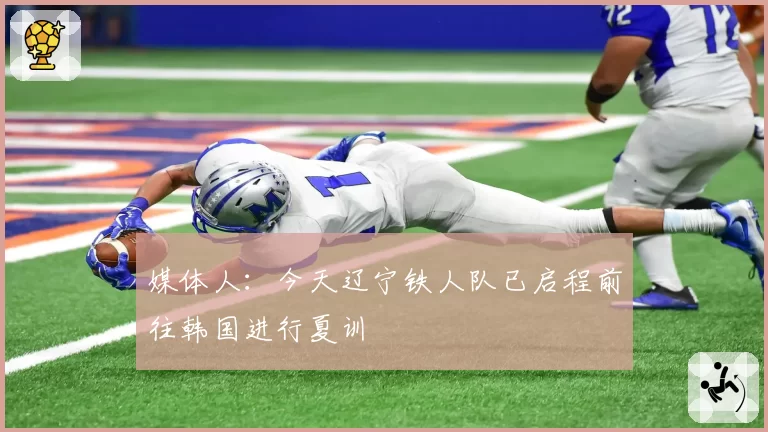 媒体人：今天辽宁铁人队已启程前往韩国进行夏训