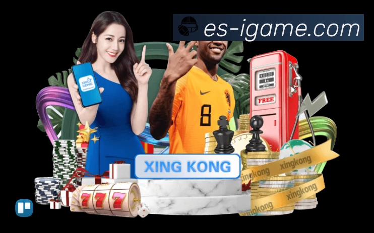 赛事回放与集锦